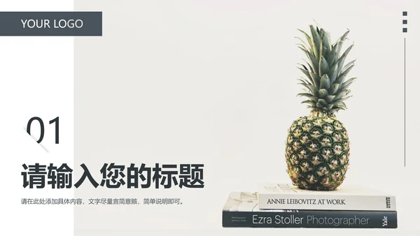 简约商务工作汇报PPT模板