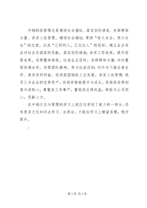 学习中钢文化心得体会.docx