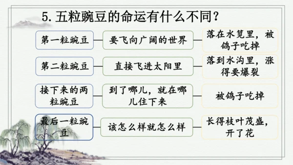 部编版四年级上册语文 5 一个豆荚里的五粒豆  课件