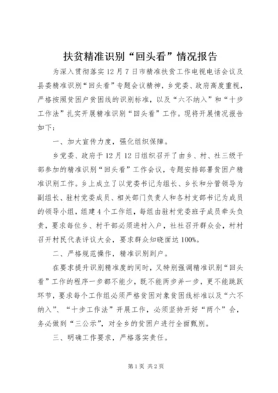扶贫精准识别“回头看”情况报告.docx
