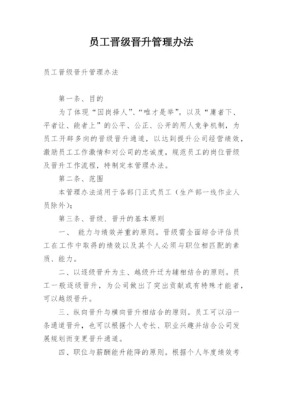 员工晋级晋升管理办法.docx