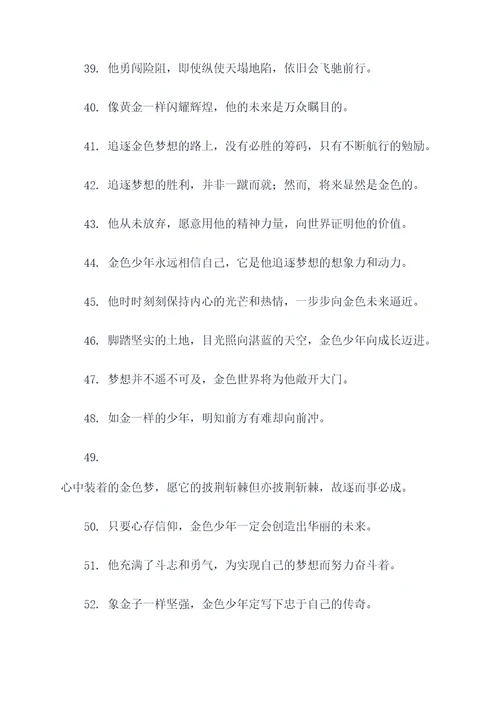 追逐金色的少年的好词好句