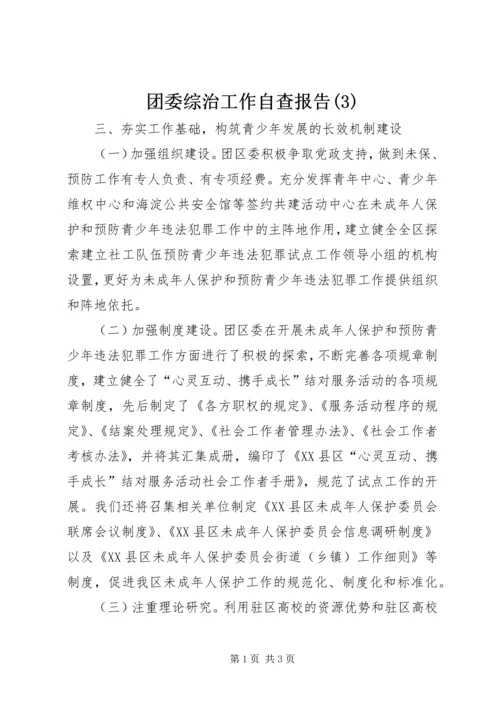 团委综治工作自查报告(3).docx