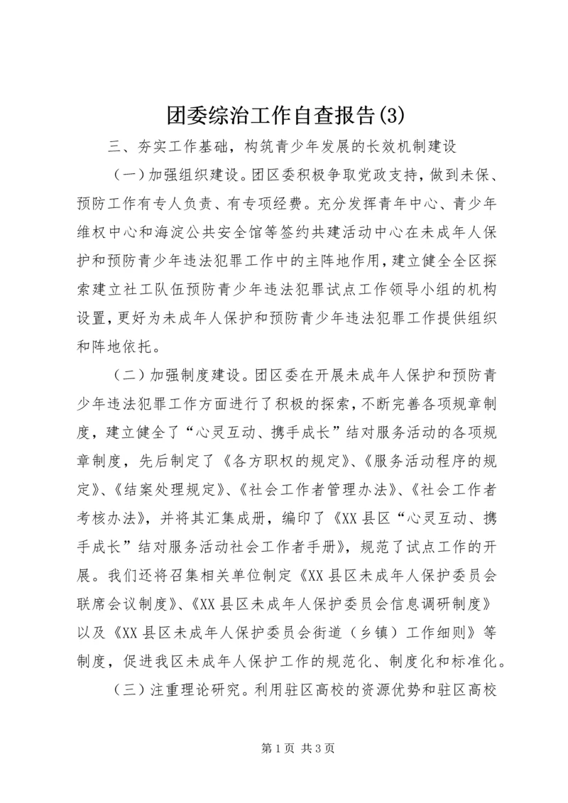 团委综治工作自查报告(3).docx