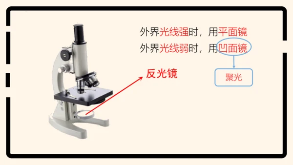 2.1.1练习使用显微镜课件2023--2024学年人教版生物七年级上册(共32张PPT)