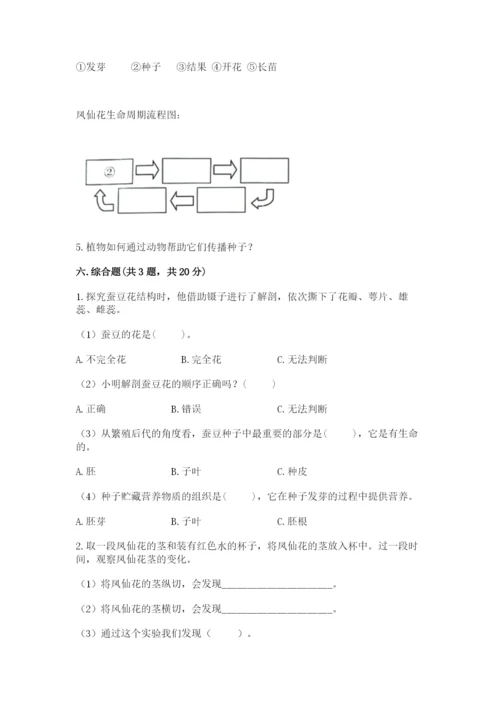 科学四年级下册第一单元植物的生长变化测试卷（全优）.docx