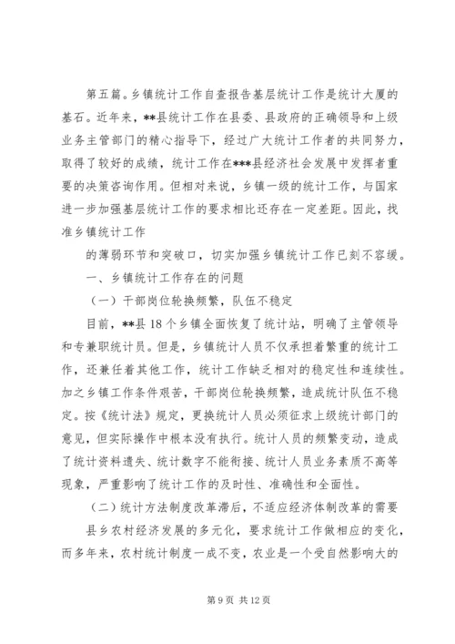 乡镇统计自检自查报告.docx