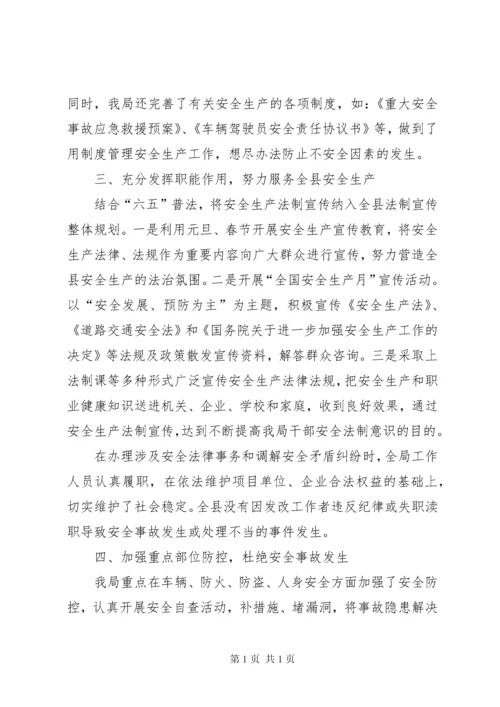 县发改局安全生产工作报告.docx