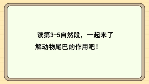 20 小壁虎借尾巴（课件）