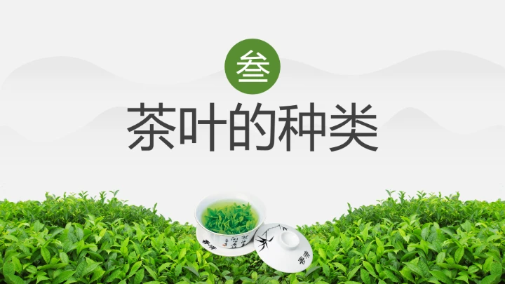 茶叶的故事 中国传统茶文化介绍主题班会课件
