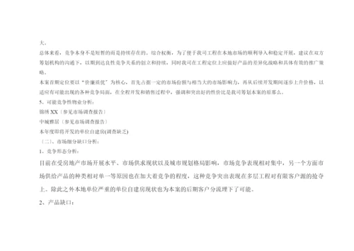 XX项目初步策划案(1).docx