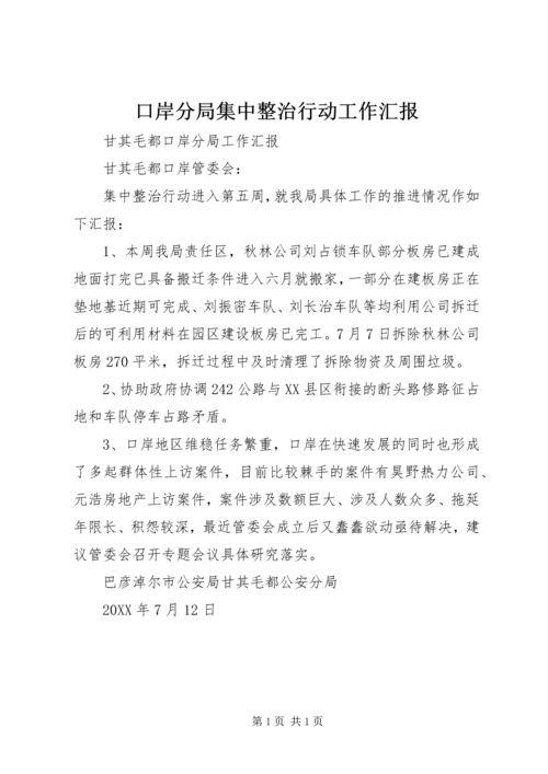 口岸分局集中整治行动工作汇报.docx