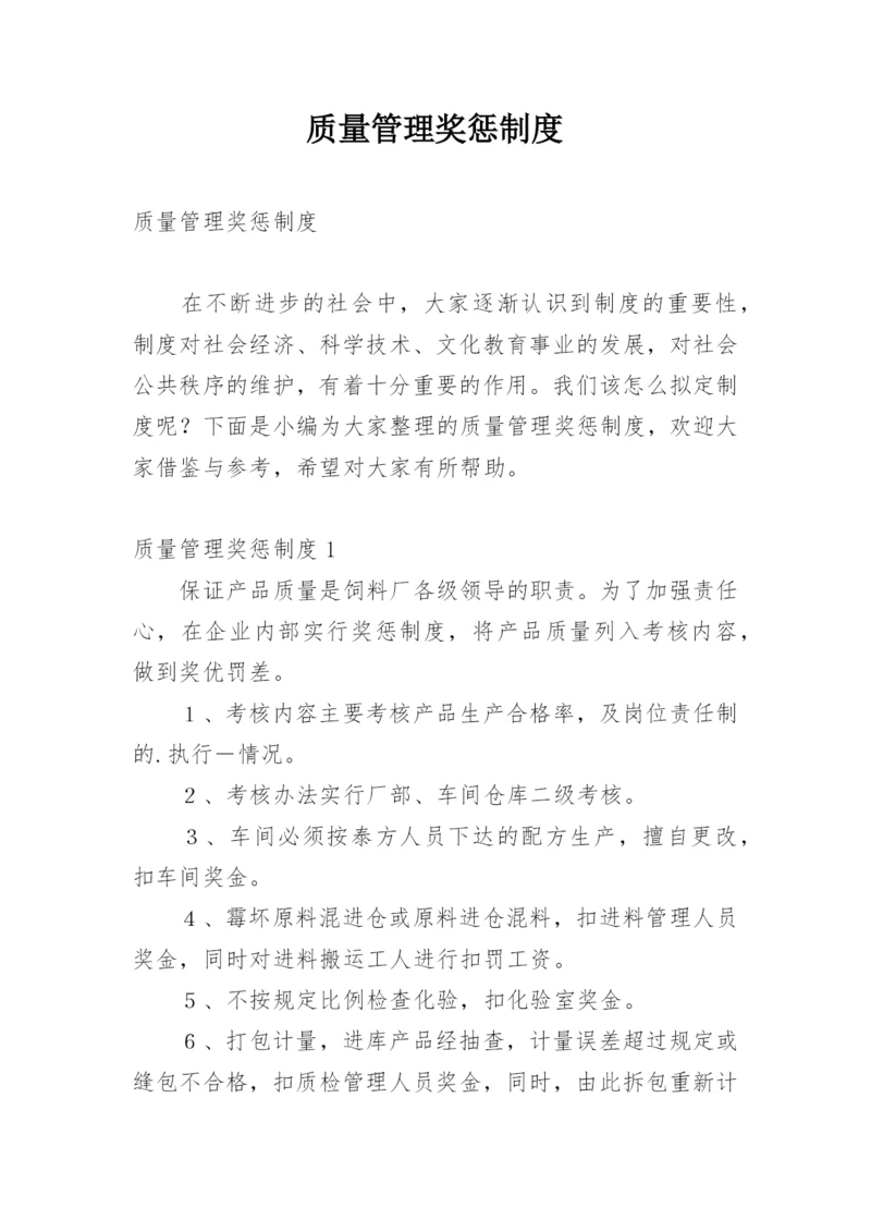 质量管理奖惩制度.docx