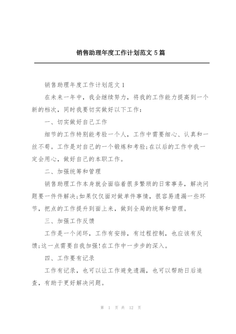 销售助理年度工作计划范文5篇.docx