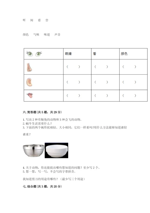 教科版小学科学一年级下册期末测试卷附参考答案（综合卷）.docx