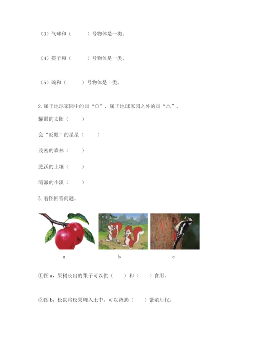 教科版二年级上册科学期末考试试卷及参考答案（名师推荐）.docx