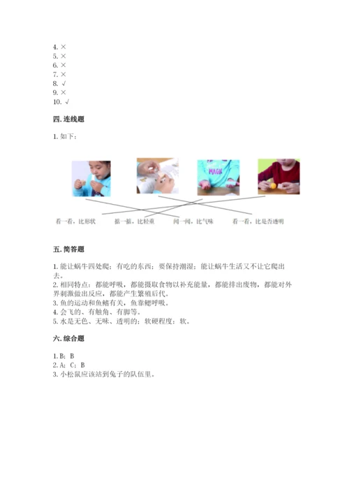 教科版一年级下册科学期末测试卷【各地真题】.docx