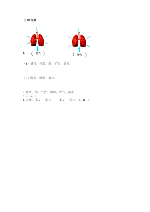 教科版四年级上册科学期末测试卷【易错题】.docx