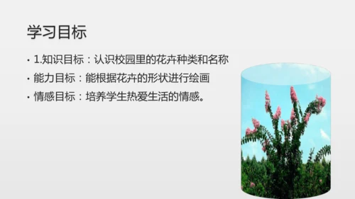 校园里的花（课件33页）-美术三年级上册人教版