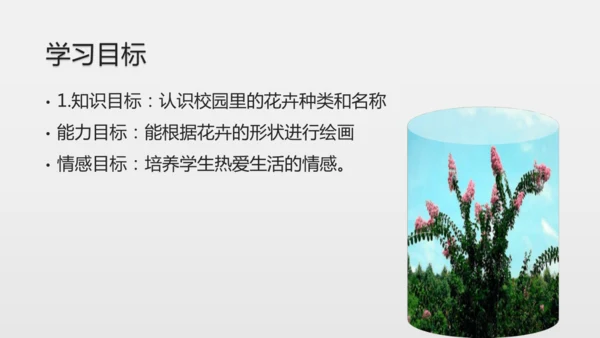 校园里的花（课件33页）-美术三年级上册人教版