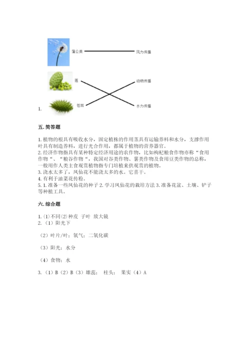 教科版四年级下册科学第一单元《植物的生长变化》测试卷【能力提升】.docx