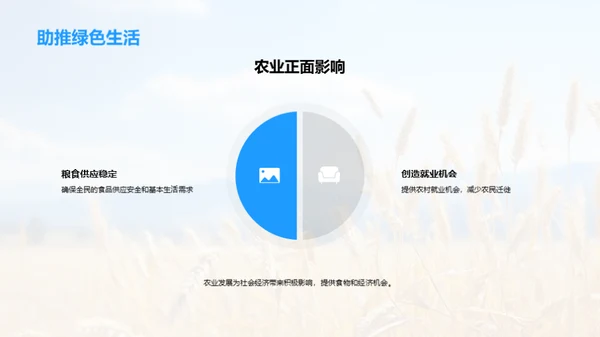 农业与环保的平衡