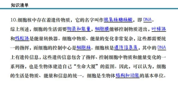 人教版生物七年级上册第一单元《生物与细胞》单元复习课件(共53张PPT)