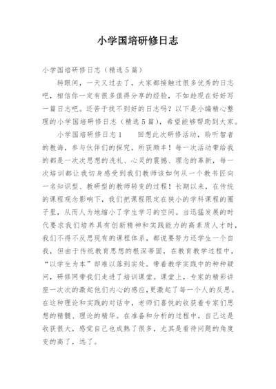 小学国培研修日志.docx