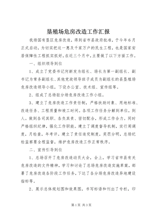 垦殖场危房改造工作汇报.docx