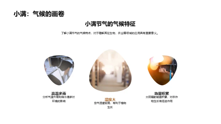 解析小满科学奥秘