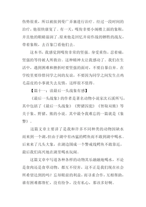 读最后一头战象有感350字.docx