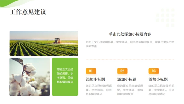 全面推进乡村振兴，田间经济通用PPT模板