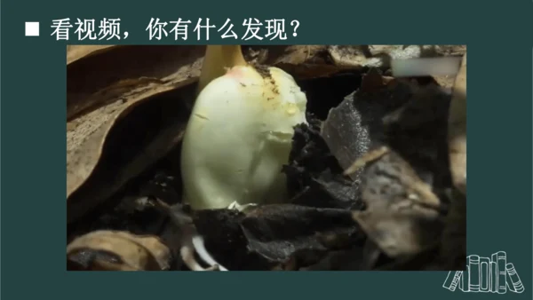 8 雨点儿  课件