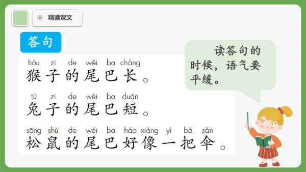 8《比尾巴》课件