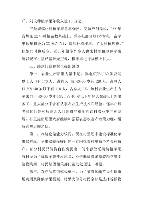 个人回乡调研研究报告.docx