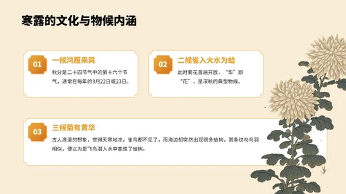 橙色中国风寒露节气PPT模板