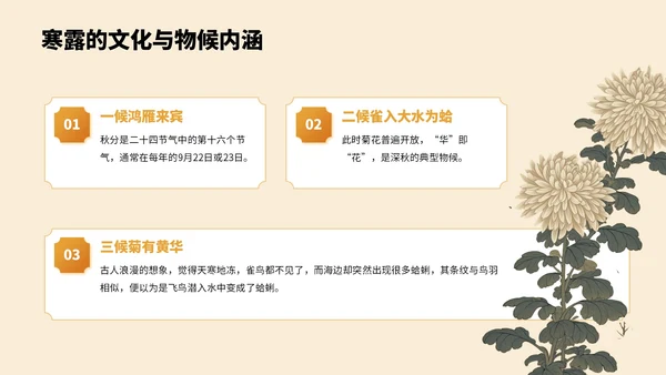 橙色中国风寒露节气PPT模板