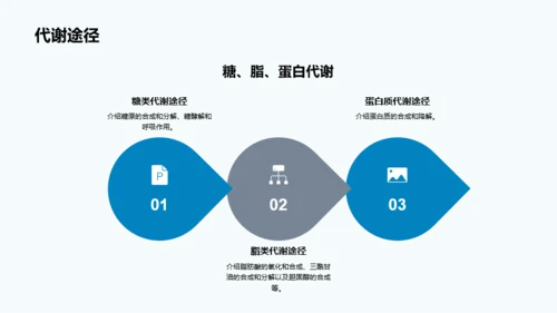 蓝色细胞结构和功能介绍PPT模板