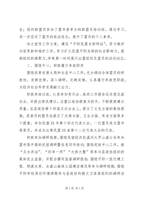 民盟支部工作总结 (2).docx