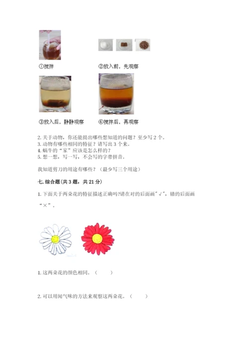 教科版一年级下册科学期末测试卷及完整答案（网校专用）.docx