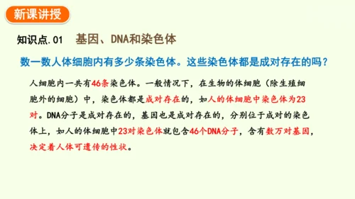 7.2.2基因在亲子代间的传递-八年级生物人教版下学期同步精品课件(共24张PPT)