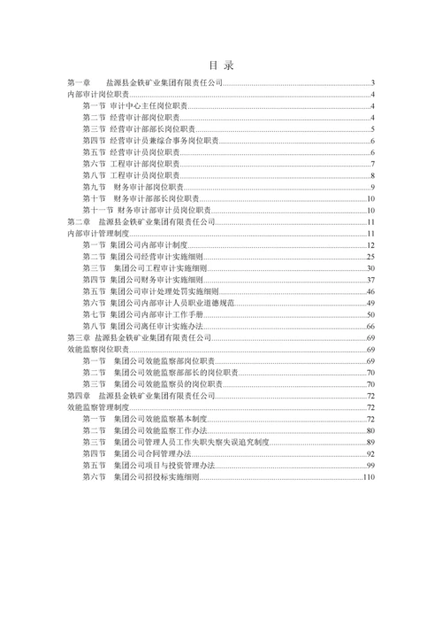 集团公司内部审计和效能监察制度.docx