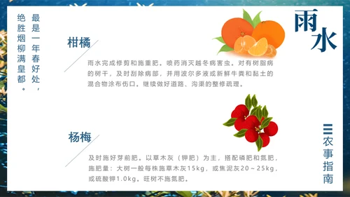 二十四节气PPT模板雨水