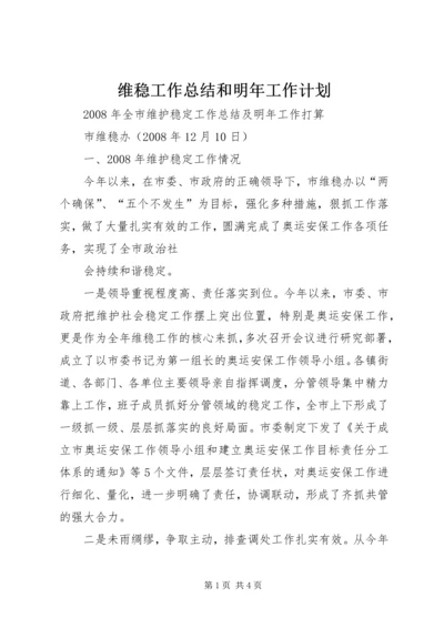 维稳工作总结和明年工作计划 (4).docx