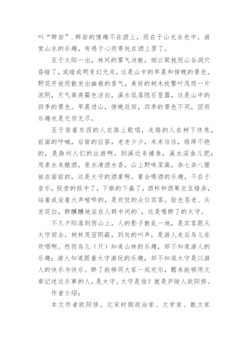 醉翁亭记原文注释及翻译.docx