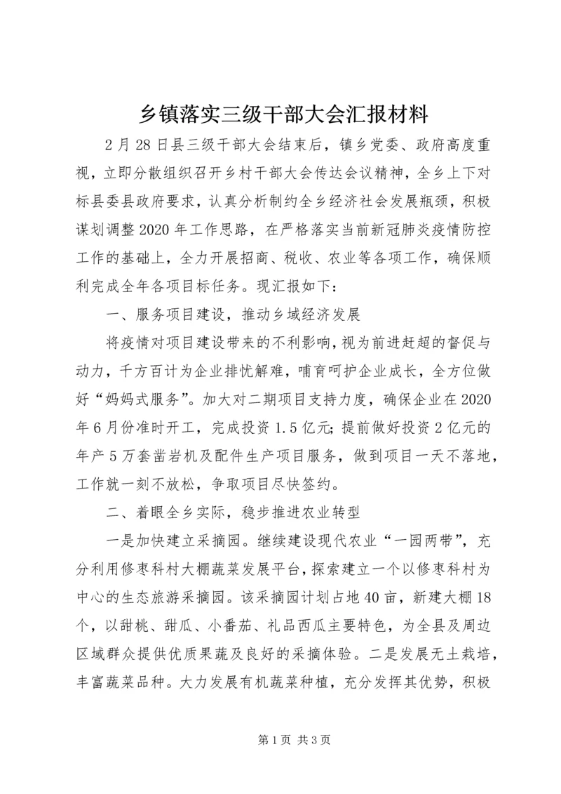 乡镇落实三级干部大会汇报材料.docx