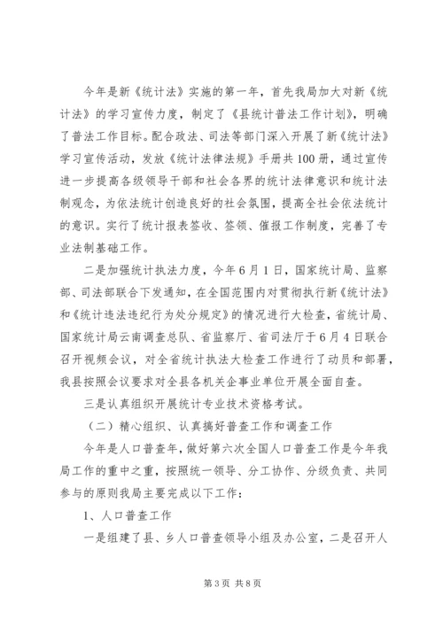 统计局上半年工作总结和下半年工作计划 (2).docx