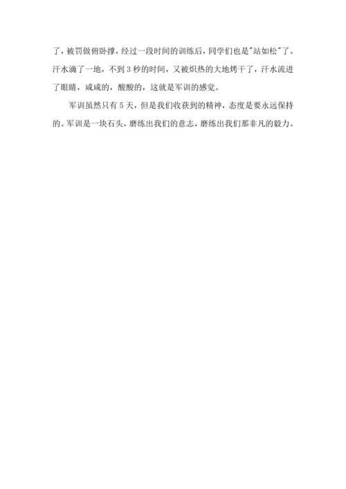 初中军训心得体会300字左右.docx