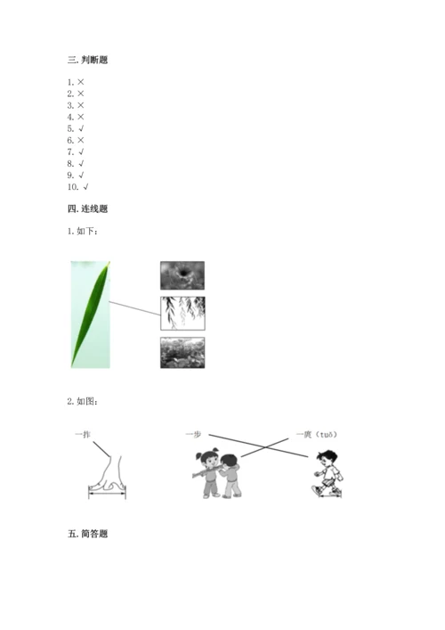 教科版一年级上册科学期末测试卷（典型题）.docx