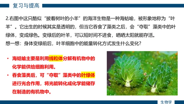综合实践项目单元小结-【备课优选】七年级生物上学期同步精品课件（2024人教版）(共19张PPT)